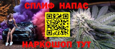 ECSTASY Гатчина