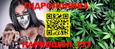 ECSTASY Гатчина