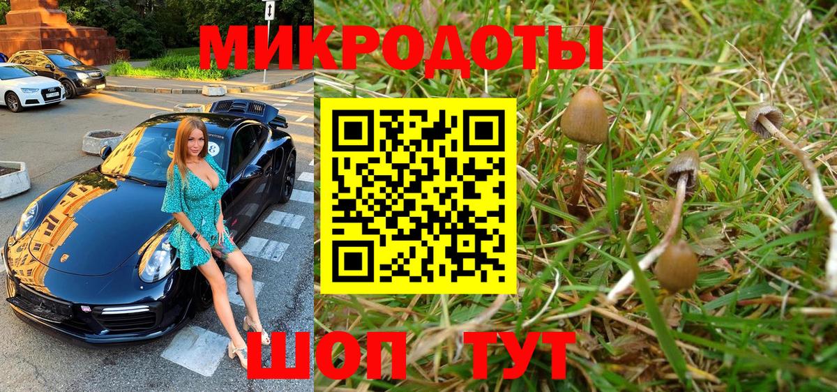 Галлюциногенные грибы прущие грибы Вязники