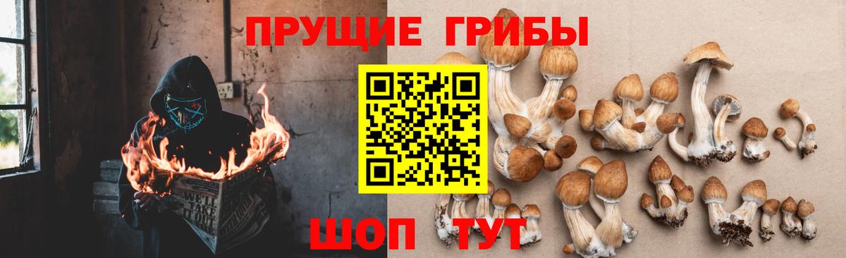 наркошоп  Вход с VPN  Вязники  Галлюциногенные грибы мухоморы 